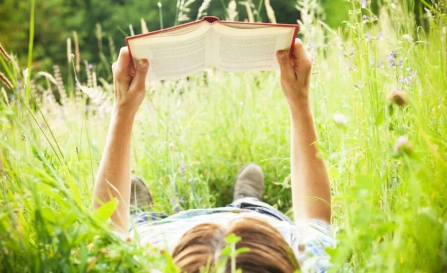 Обязательно ли читать книги на лето. Чтение летом. лето с книгой. человек с книгой на природе. книга природа.