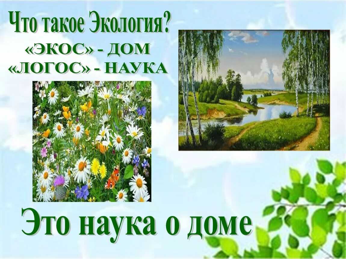 Что такое экос. Экология экос логос. экос дом. сообщение о экологии.