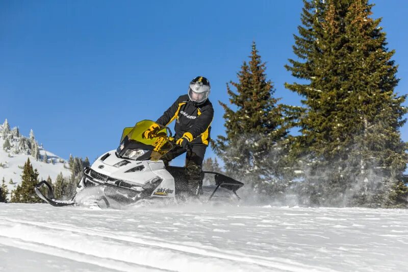 BRP Tundra 600 Ace. Ski Doo Tundra 600 Ace. Ski-Doo Tundra lt 600 Ace. Снегоход BRP 550 тундра. Ski doo 600 ace