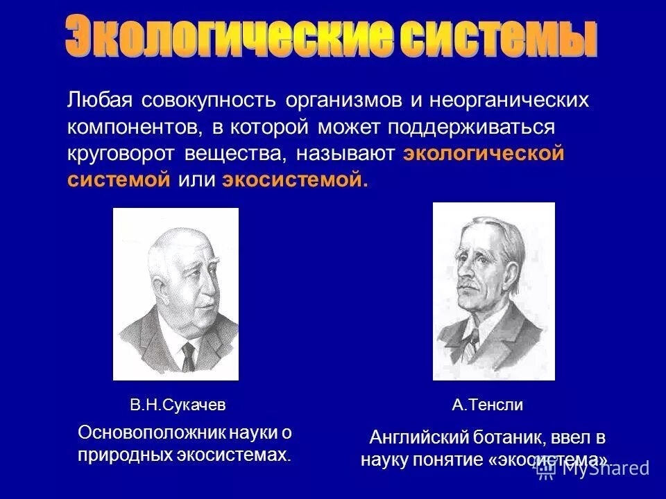 термин экосистема тенсли. артур тенсли британский ботаник. термин экосистема тенсли. артур тенсли экосистема. артур тенсли.