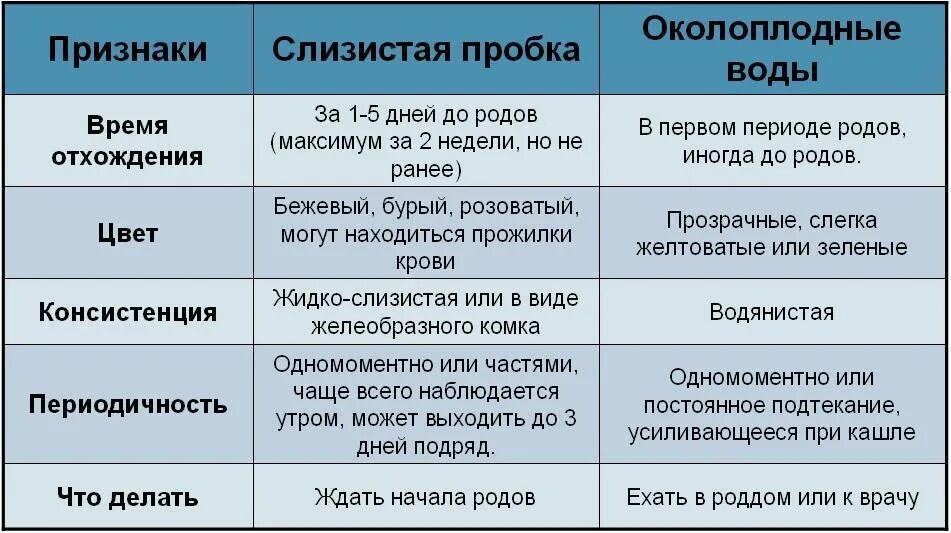 Слизистая пробка у повторнородящих за сколько