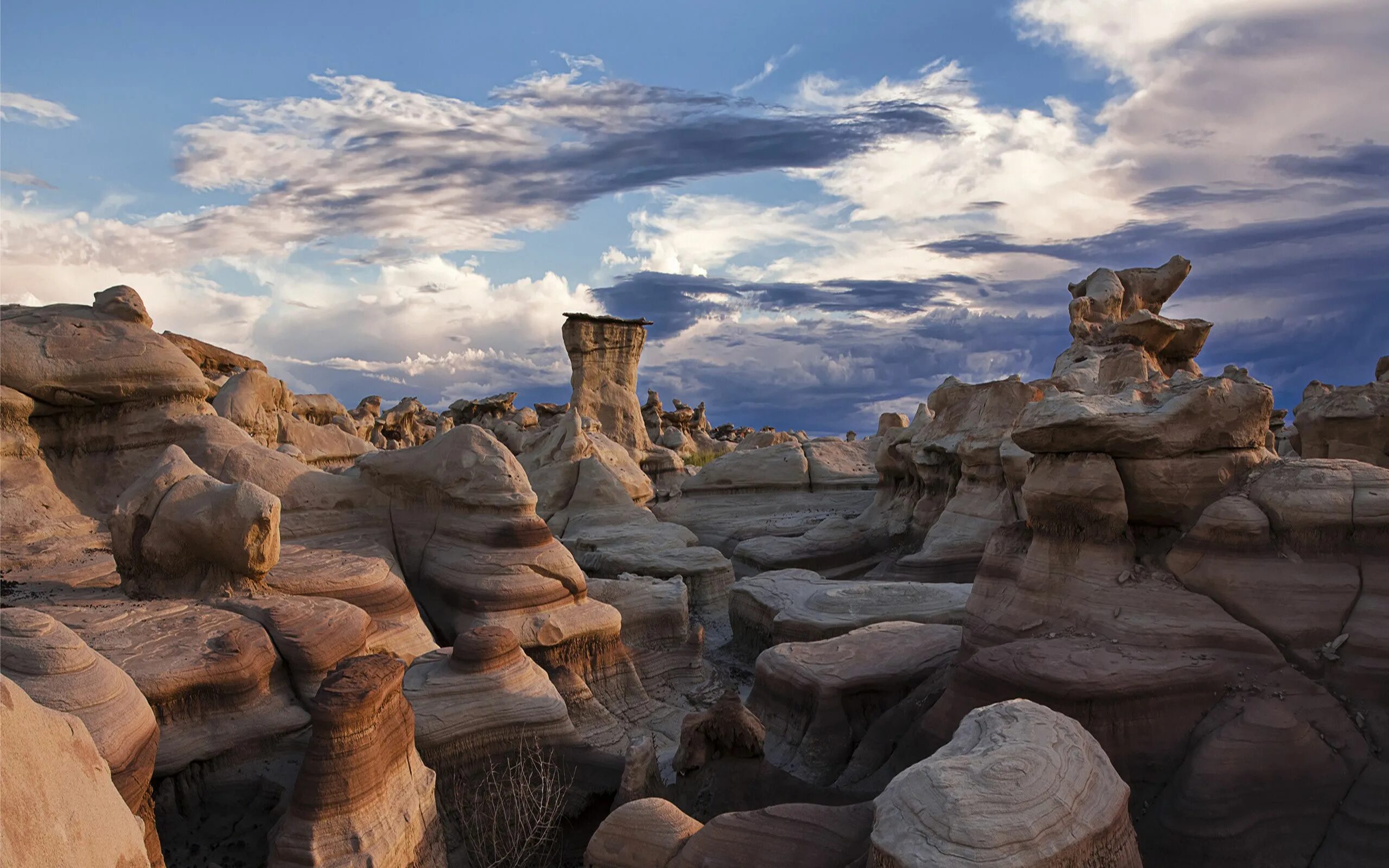 Form stones. Каменные грибы Аризона США. Скалы. Каменная скала. Необычные горы.