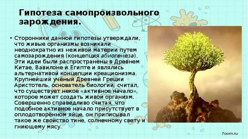 Происхождение жизни самозарождение. Самозарождение кратко. Гипотеза самопроизвольного зарождения жизни. Гипотеза самозарождения жизни сторонники. Гипотез самопрлизводного зарождерия.