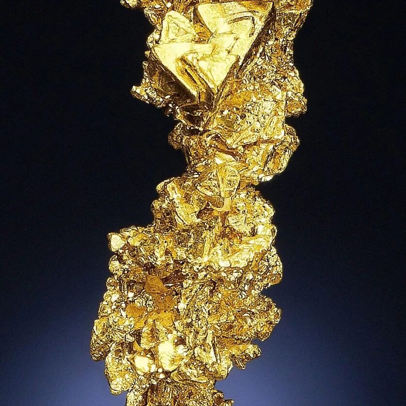 Самородное золото минерал. Кристаллы золота самородного золота. Золото самородок Кристал арт. Золото / Aurum (au). Алмазы богатство
