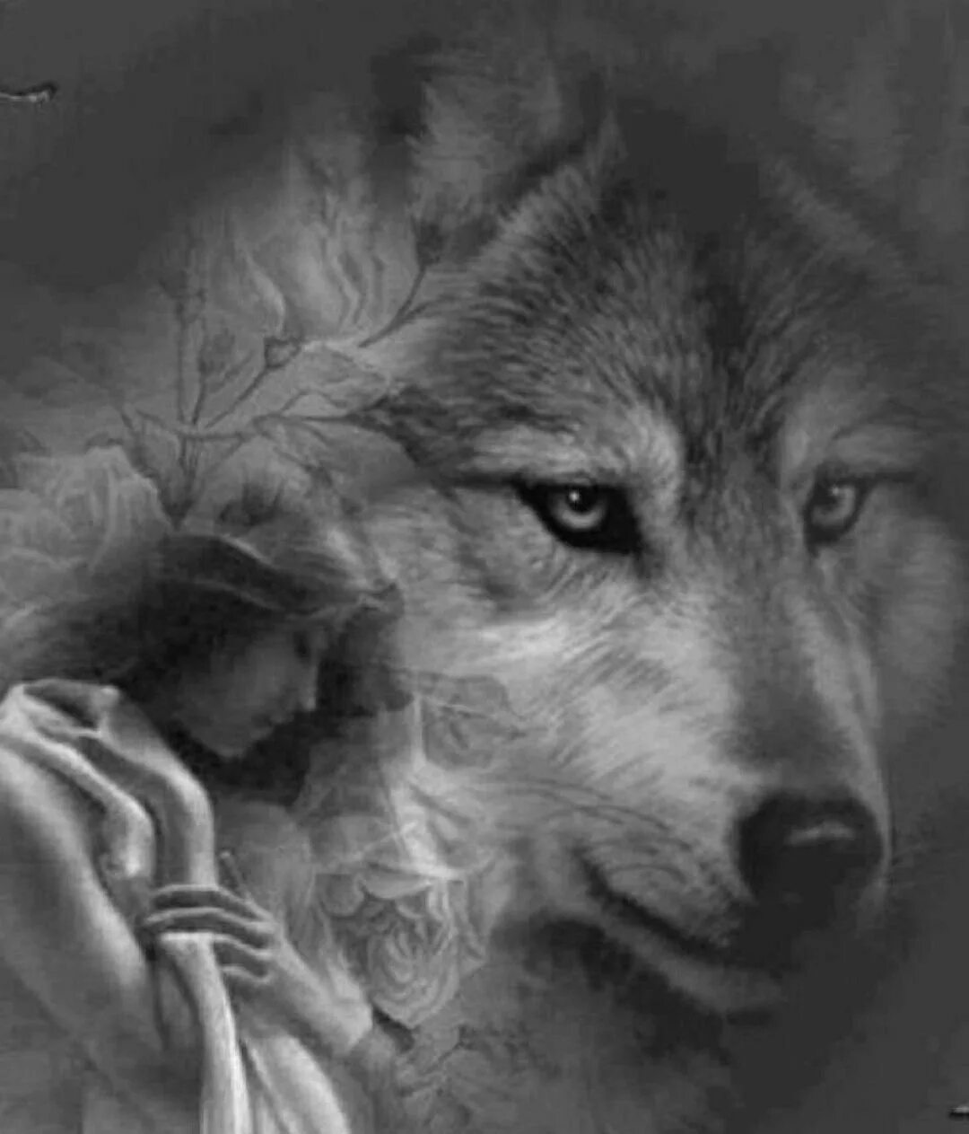 Одинокая волчица ночью. Волк. Волчица и девушка. Волк картинка. Волчица одиночка.
