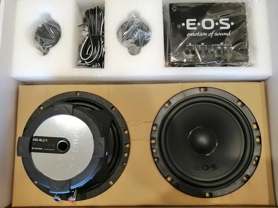 Zet ms2