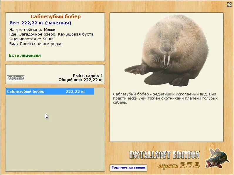 Бобер фото. Какой вес бобра. Размер бобра взрослого. Грызуны семейства бобровых. Речной бобр.