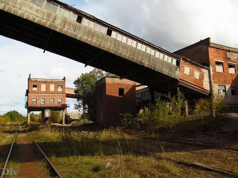 Завод сланцы. Спз сланцы. Сланцы завод цесла. Город сланцы цементный завод. Сланцы город завод.