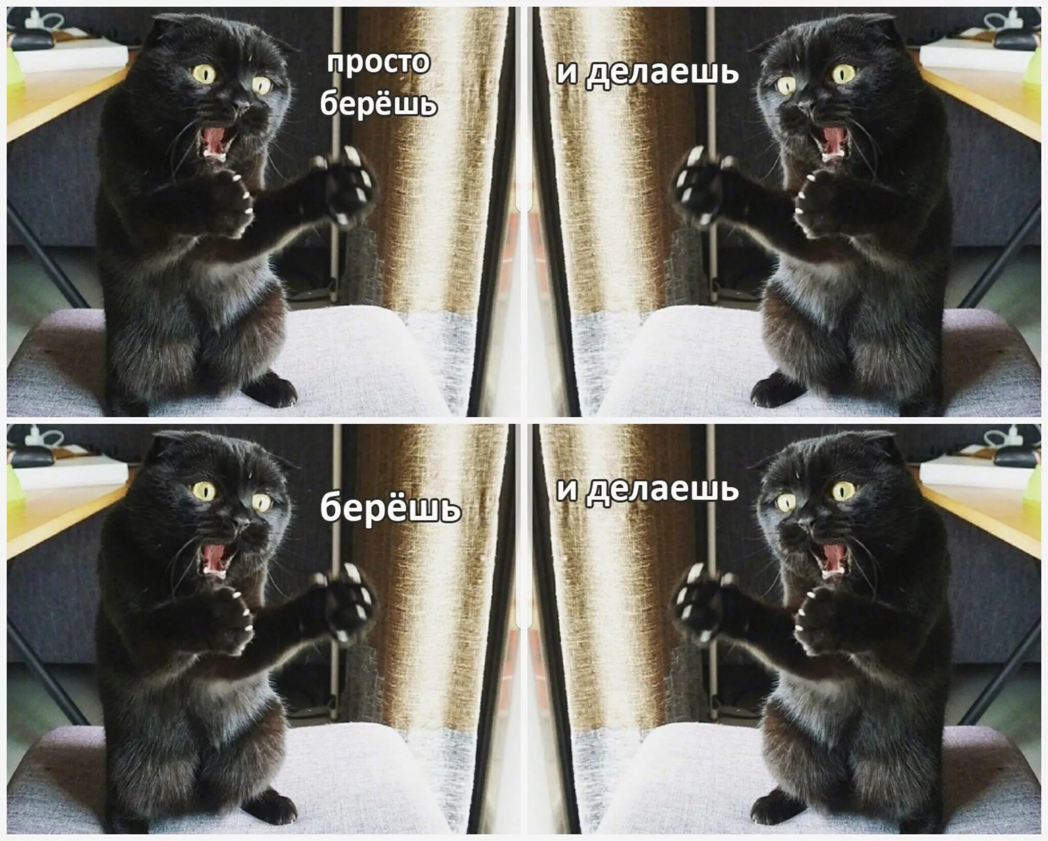 Берёшь и делаешь кот. Берешь и делаешь. Просто берешь и делаешь. Берёшь и делаешь кот Мем.