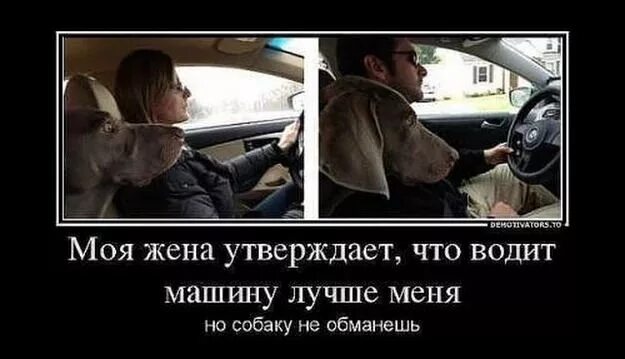 Водитель оказался и любовником что надо