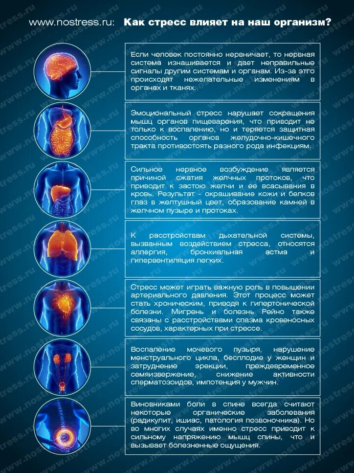 Что оказывает стресс на человека