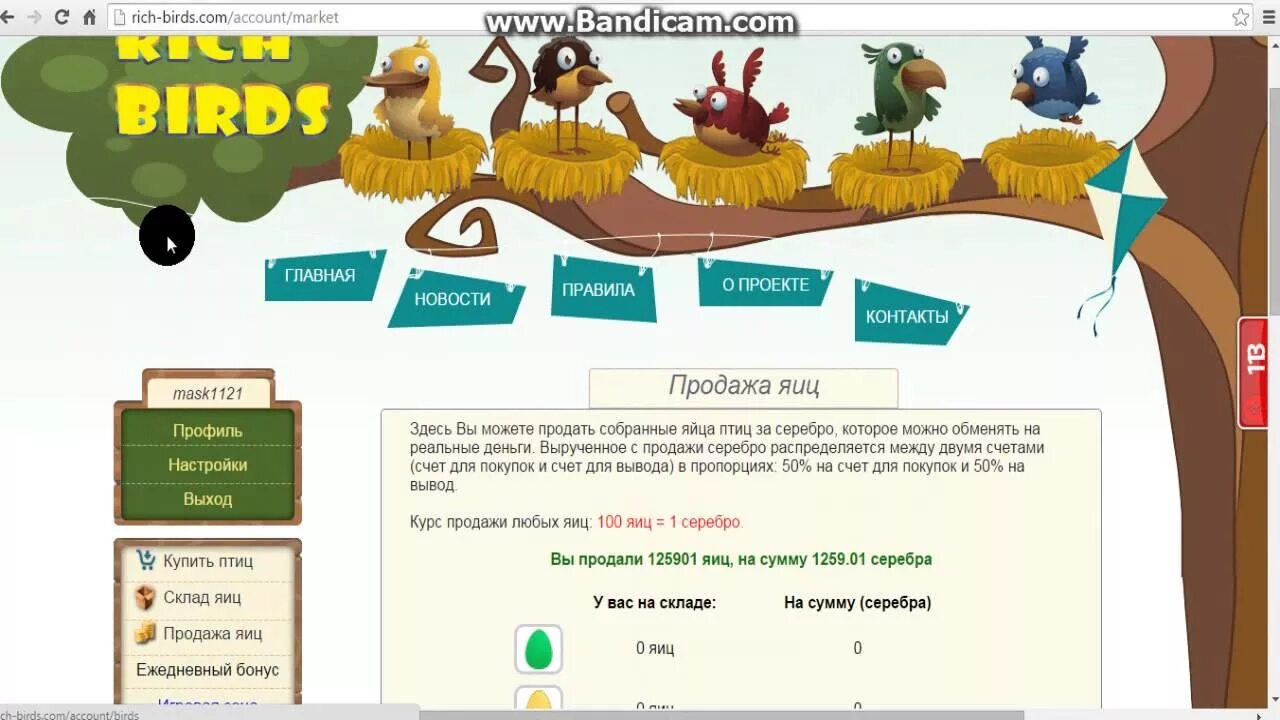 Игра яйца с выводом денег. Rich Birds фото. Заработок на яйцах Rich Birds. Birds заработок на яйцах. Рич Бердс зарабатывай.