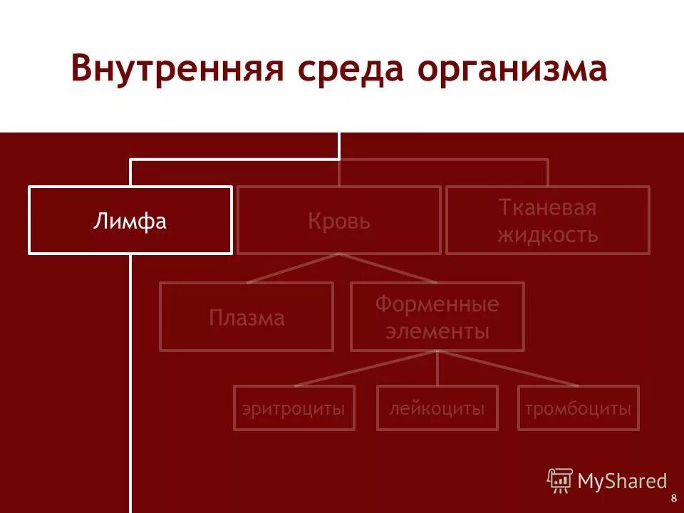 Внутренняя среда кровь лимфа тканевая жидкость форменные элементы. Тканевая жидкость форменные элементы. Внутренняя среда кровь лимфа форменные элементы. Функции внутренней среды организма таблица. Тканевая жидкость форменные элементы.