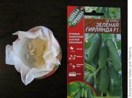 Гирлянда f1