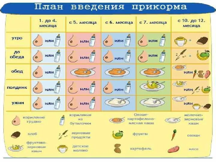 Скольки месяцев можно давать картошку. Какие овощные пюре можно давать ребенку в 6 месяцев. Порядок ввода овощных пюре в прикорм. Последовательность введения овощей в прикорм с 6 месяцев. Какое пюре ввести в прикорм ребенку.