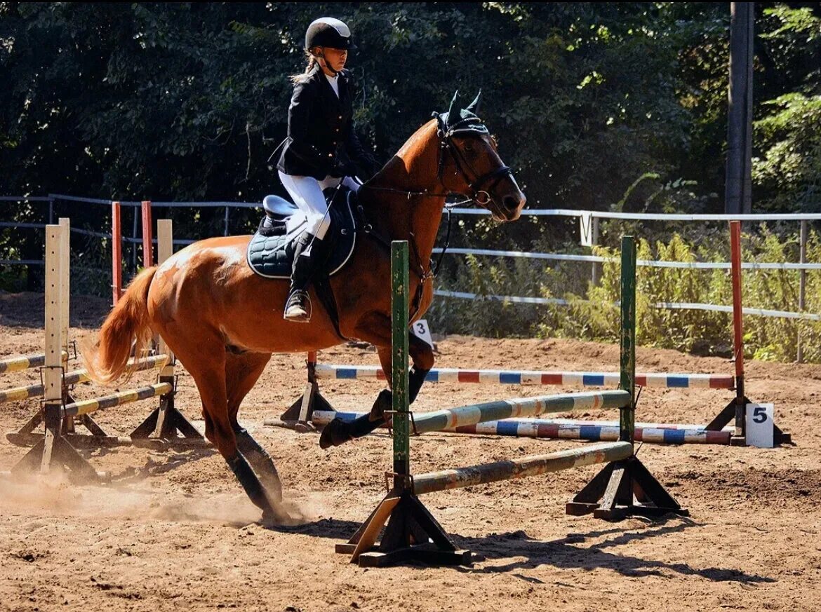 подольск талалихина конюшня. конный клуб буденовец самара. кск легион самара. конный клуб самара. конный клуб в самаре.
