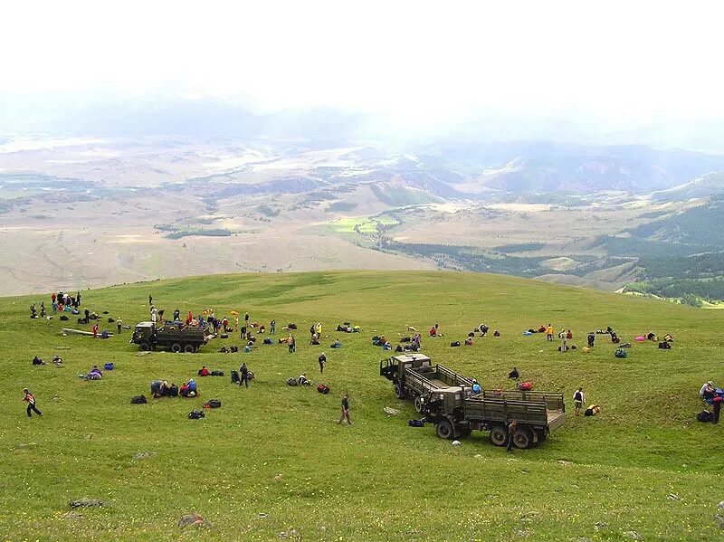 Курай Алтайский край. Курай горный Алтай. Курай деревня Алтай. Село курай Красноярский край.