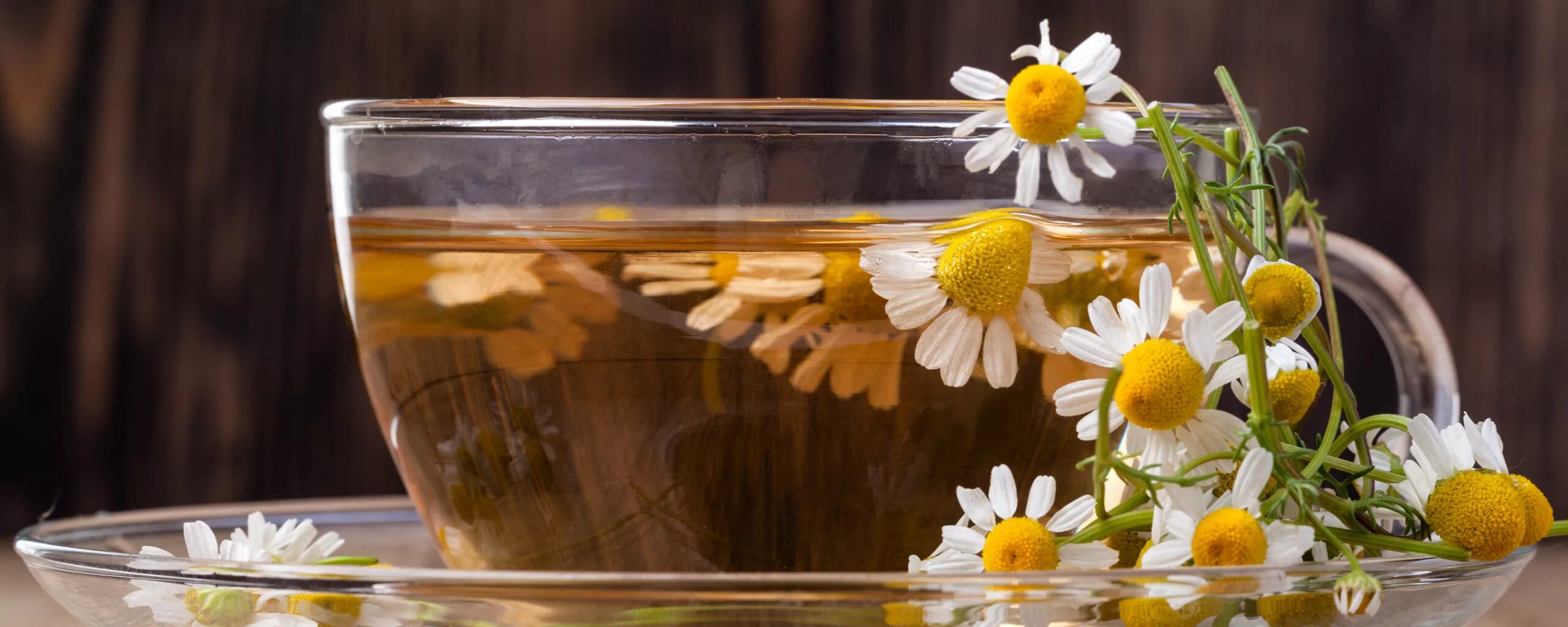 Ромашка крепит. Вечерний чай с ромашкой. чай с ромашкой фоны. в руке ромашка и чай. чай ромашка с апельсином.