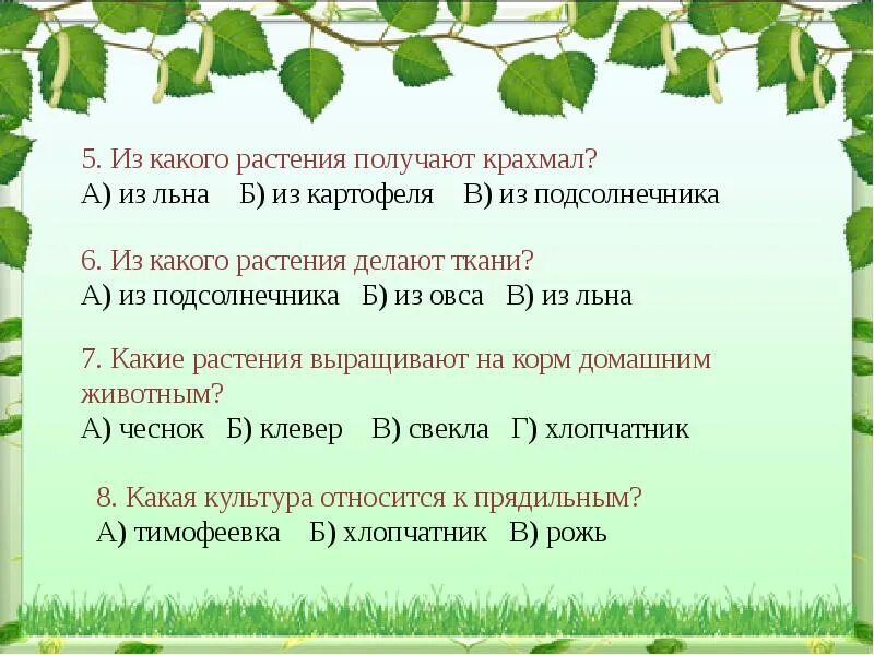 Презентация 3 класс на какую тему. Растениеводство 3 класс. доклад по окружающему миру 3 класс растениеводство. растениеводство 3 класс окружающий мир. плодоводство 3 класс.
