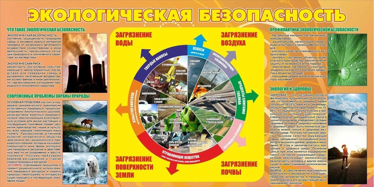 Профилактика экологической безопасности. Экологическая безопасность плакаты. Стенд по экологической безопасности. Экологическая безопасность и охрана окружающей среды.