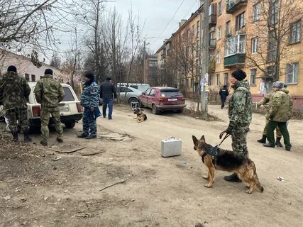 Пагөда на сегодня тульская область