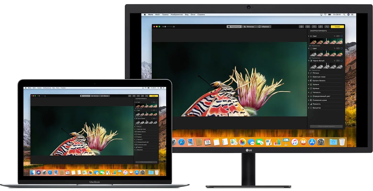 V display