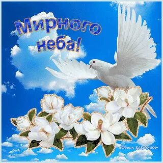 Пожелания мирного неба