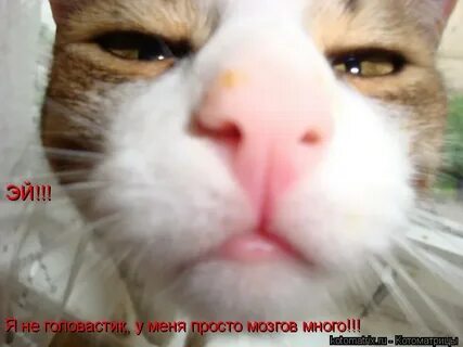 Где то без меня