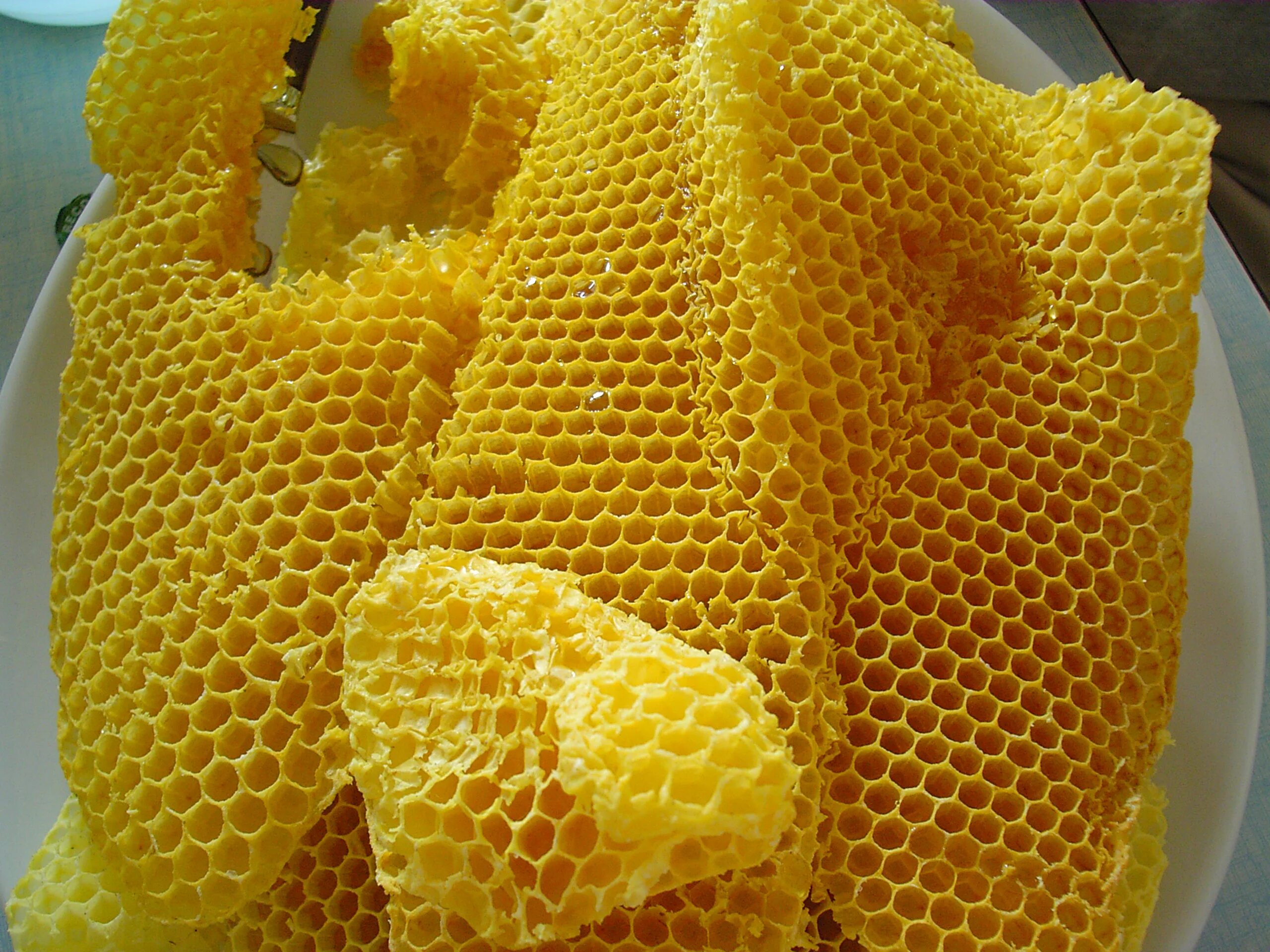 Воск в сотах. Пчелиный воск. Мёд в сотах. Восковые соты для пчел. Вощина с медом.