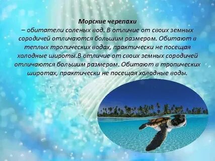 Животные обитатели соленых вод 3 класс