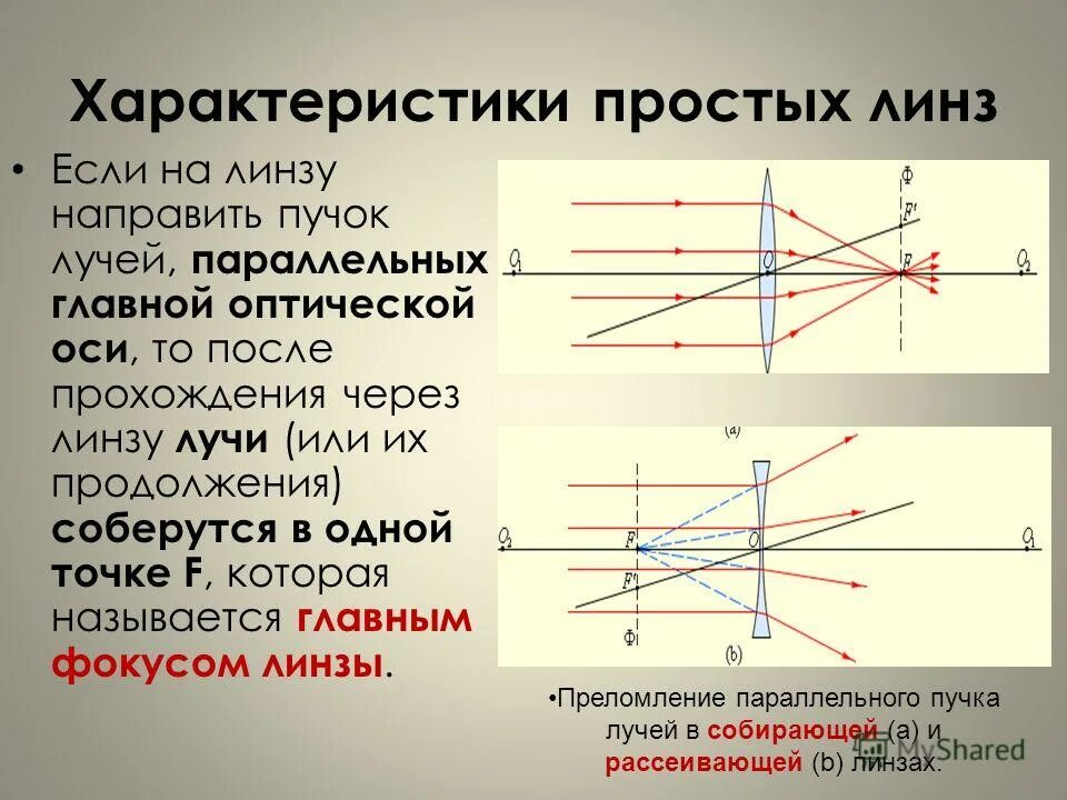 Оптическая линза физика 8 класс