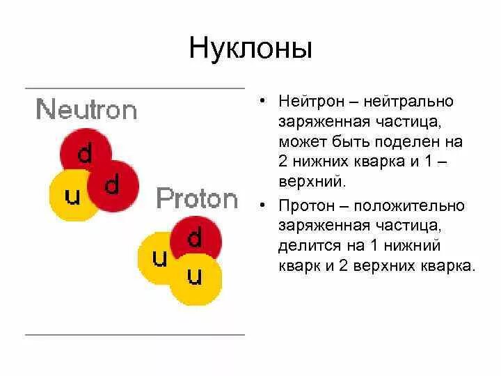 Нуклоны и нейтроны. Нуклоны протоны нейтроны. Строение ядра атома кварки. Нуклоны ядерные частицы.