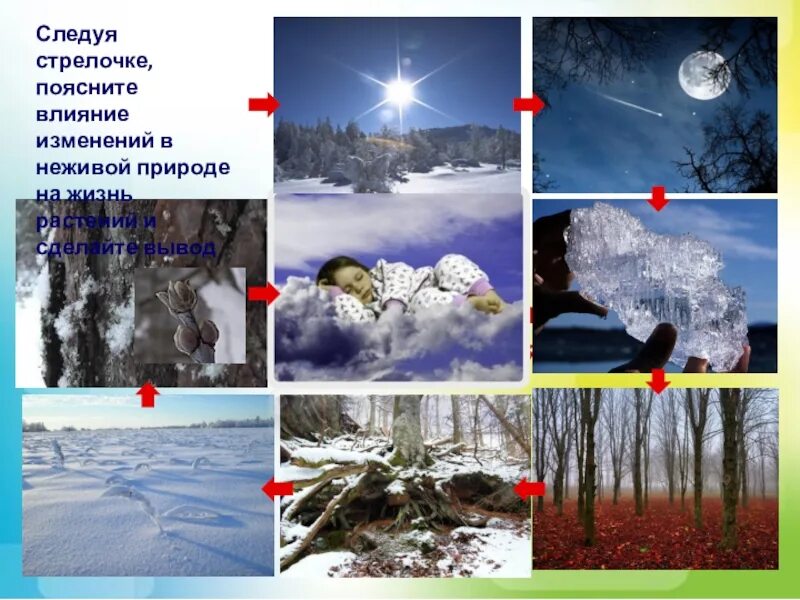 Изменения в природе зимой 5 класс биология. Зимние изменения в неживой природе. Неживая природа зимой. Зима в мире растений. Изменения в неживой природе зимой.