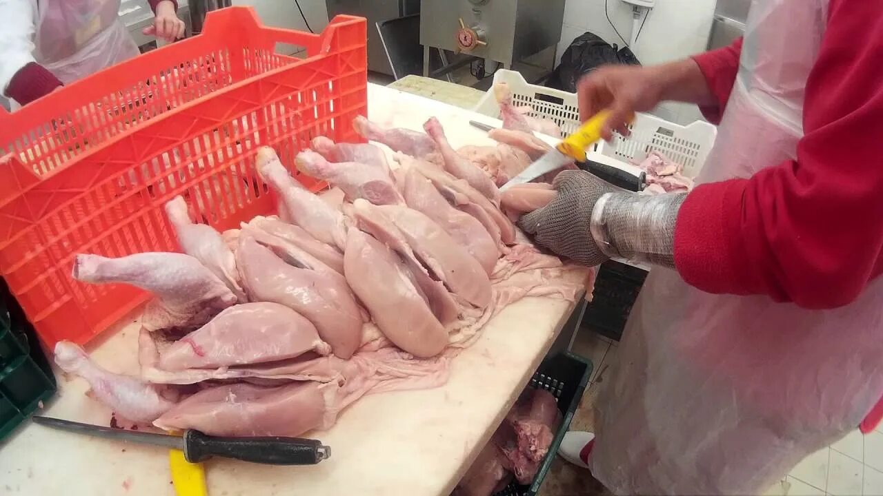 Работа мясо птицы