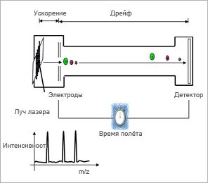 Частота импульса лазера