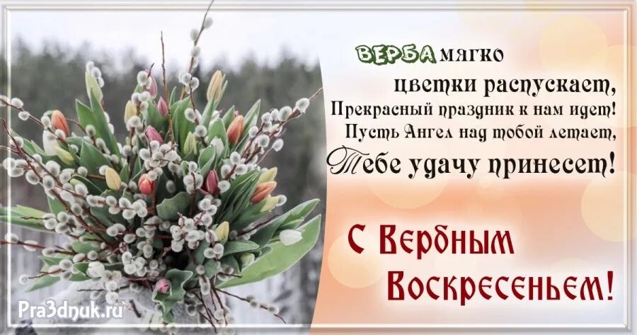 Поздравление с вербным воскресеньем. Поздравления с верным воскресенье. Поздравление с вербным воскресеньем открытки. Верба стихи красивые. Уж верба.