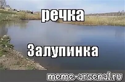 Смешной лось. Мемы про реки. Реках мем. Мемы про реки. Мем про человека идущего к реке.