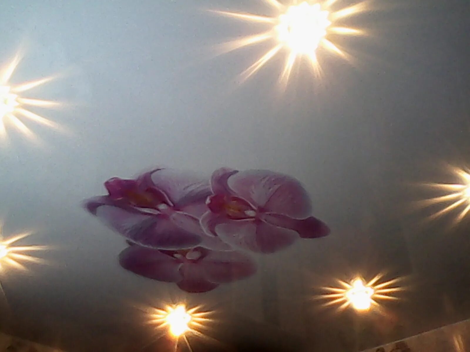 натяжной потолок в хрущевке. шадринск потолок фото. потолки шадринск. шадринск подвесные потолки. глянцевые потолки феодосия.