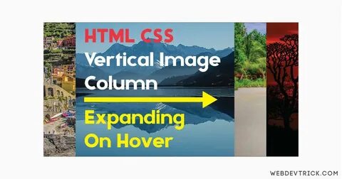 Css vertical