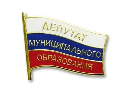 Муниципальный депутат предложил