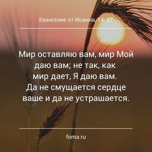 Мир оставляю вам мир мой. Мир мой даю вам. Да не смущается сердце ваше. Мир мой даю вам не так.