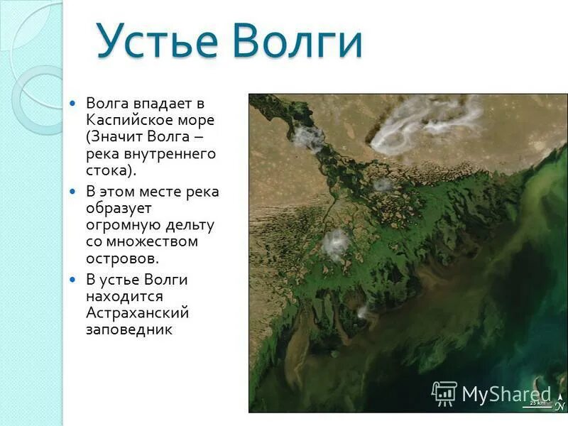 Бассейны каспийского моря реки россии. Каспийское море Дельта реки Волга. Устье Волги Каспийское море. Впадение реки Волги в Каспийское море. Волга в месте впадения в Каспийское.