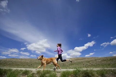Run for me dogs