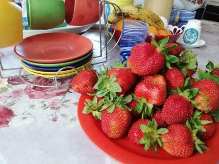 Отзыв вкусную клубнику