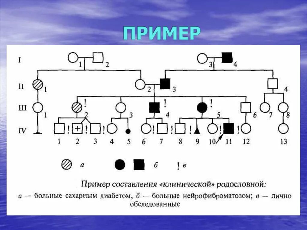 Сахарный диабет родословная. Родословная дерево по генетике. генеалогическое древо схема генетика сахарный диабет. родословное дерево генетика пример. родословная сахарный диабет.