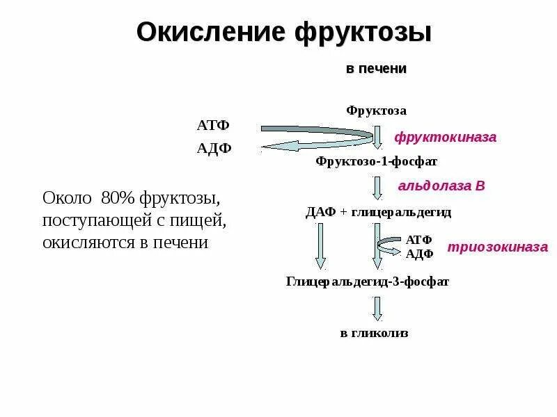 Окисление фруктозы реакция. Уравнение реакции окисления фруктозы. Полное окисление фруктозы. Окисление д фруктозы. Фруктоза и печень