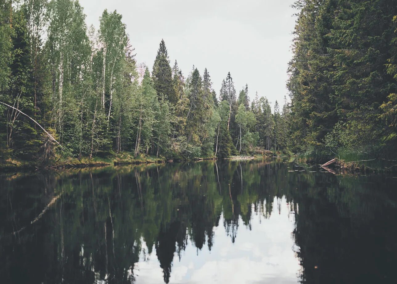 река укса сплав. карельские шхеры. день карелии. сплав лоймола. юканкоски водопад карелия.
