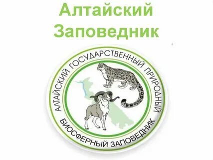 Алтайский заповедник доклад 2 класс