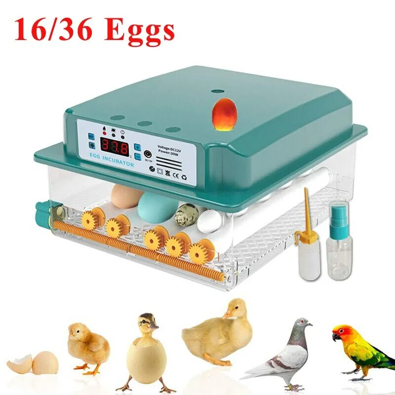 Инкубатор Egg incubator. Egg incubator 16 яиц. Инкубатор 12 Egg incubator. Инкубатор Egg incubator 6.