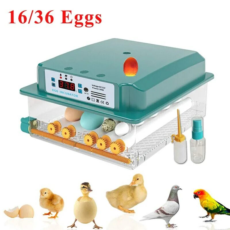 Инкубатор hhd ew-56. Инкубатор для яиц egg incubator. Инкубатор egg incubator. Инкубатор на 12 яиц hhd. Инкубатор hhd 7 мини.